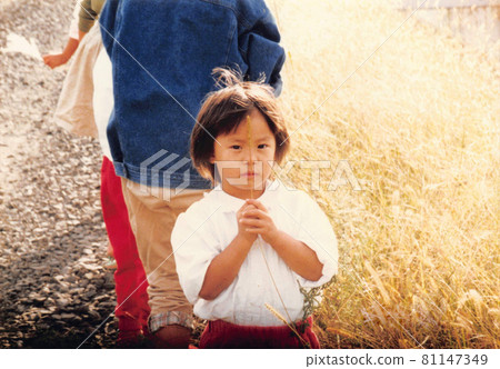 有潘帕斯草的日本小女孩 81147349