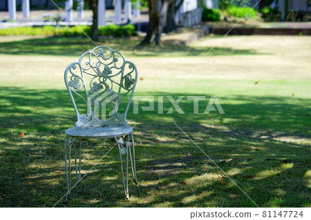 Summer park, sunbeams 9 81147724