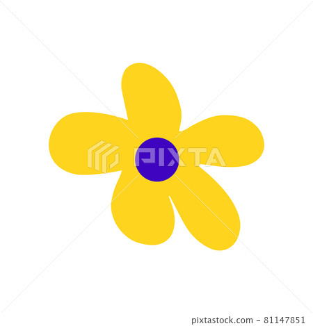 Yellow field flower. Vector illustration 81147851