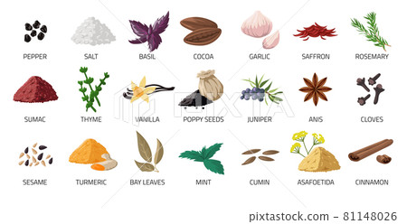 Spice set. Cartoon food seasoning. Cooking ingredients for recipe. Garlic and basil leaves. Natural cloves or cumin. Spicy peppercorn. Vector organic fresh or dry powder condiments 81148026