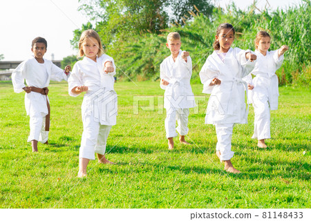 Positive children practicing karate in park Positive children practicing karate in park 81148433