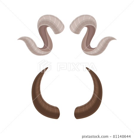 Antlers set. Hunting trophy of antelope, ram, cow, goat animals vector illustration 81148644