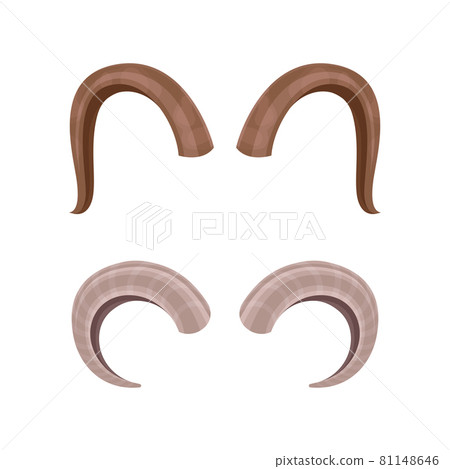 Antlers set. Hunting trophy of antelope, ram, gazelle, goat animals vector illustration 81148646