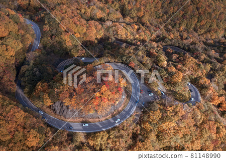 "Tochigi Prefecture" Nikko Irohazaka autumn leaves aerial view 81148990