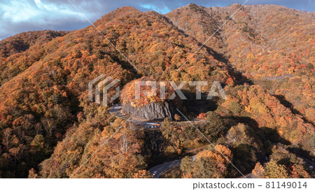 "Tochigi Prefecture" Nikko Irohazaka autumn leaves aerial view "Tochigi Prefecture" Nikko Irohazaka autumn leaves aerial view 81149014