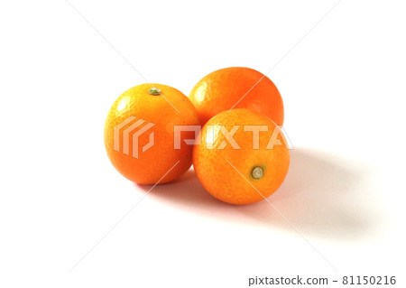 Kumquat 1 white background 81150216