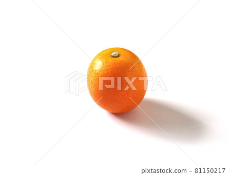 Kumquat 8 white background 81150217