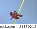 Tropical dragonfly 81150218