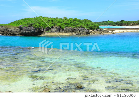 在海灘上的海灘 在海灘上的海灘 81150306