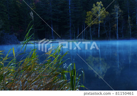 On Oneto's morning 81150461