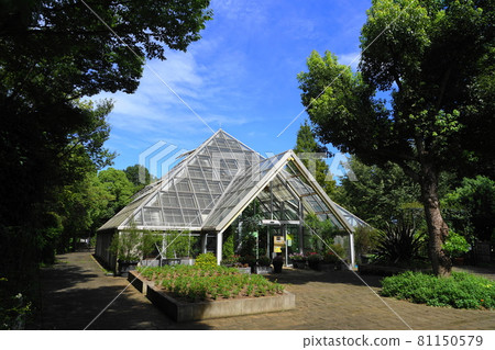 August Tama 386 Tama Green Live Center Greenhouse August Tama 386 Tama Green Live Center Greenhouse 81150579