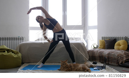 Woman doing exercise workout online personal trainer watching an online course on the computer and Maine Coon cat is sitting side by side in room. During Quarantine. Woman doing exercise workout online personal trainer watching an online course on the computer and Maine Coon cat is sitting side by side in room. During Quarantine. 81150829