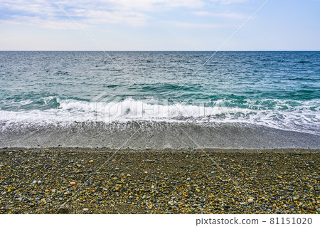 Summer Hisui coast (Miyazaki / Sakai coast) 81151020