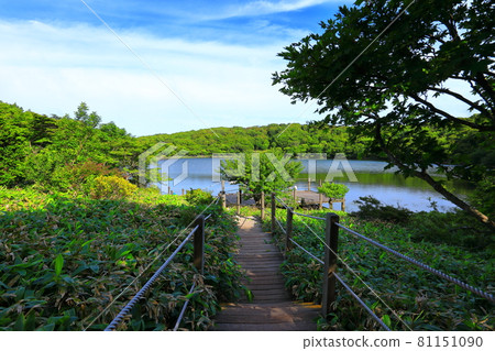Saraoreum, Jeju Island, Mt. Halla, lake, forest, mountain, hiking, Saraoreum, Jeju Island, Mt. Halla, lake, forest, mountain, hiking, 81151090