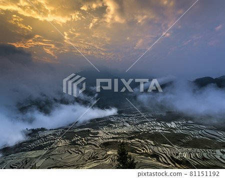 中國雲南元陽 / 中國雲南元陽多益樹 81151192