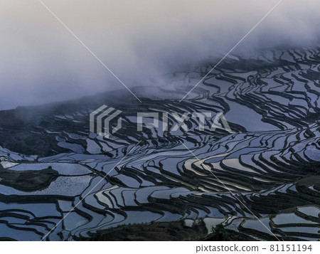 Yuanyang, Yunnan, Yunnan, China / Duoyishu, Yuanyang, Yunnan, China Yuanyang, Yunnan, Yunnan, China / Duoyishu, Yuanyang, Yunnan, China 81151194
