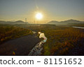 光光河床上綠草長長，旭日初升，色彩和陽光美麗，大地美麗。 81151652