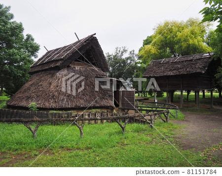 Toro Ruins (Suruga Ward, Shizuoka City) 81151784