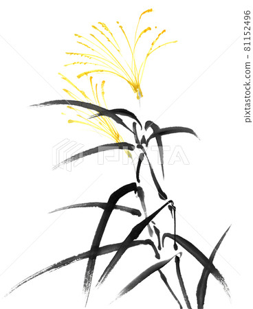 用水墨畫技術繪製的日本蒲公英草 81152496