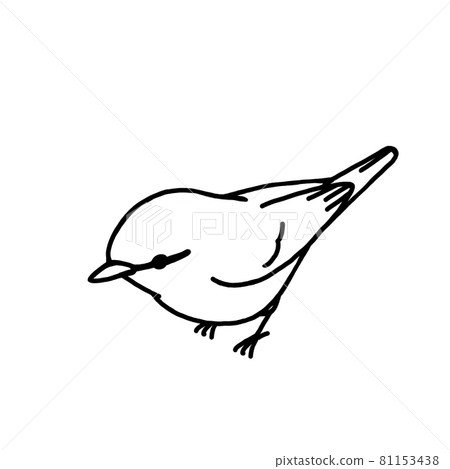 鳥的鶯的插圖(黑白) 鳥的鶯的插圖(黑白) 81153438