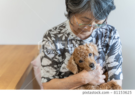 Japanese senior woman holding an old pet and cheeking Japanese senior woman holding an old pet and cheeking 81153625
