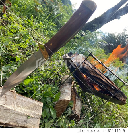 夏季森林營地的篝火晚會 81153649