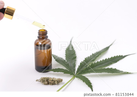 Cannabis oil extracts in jars and green cannabis leaves, marijuana isolated on white background. Growing medical and herb marijuana. 81153844