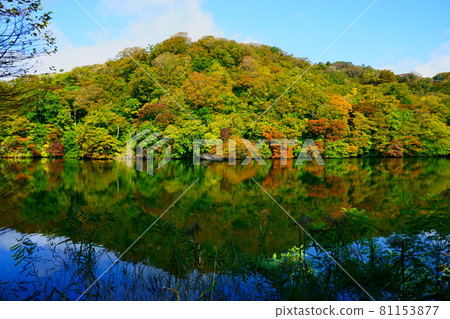 十二子的秋葉和如鏡般的湖 81153877