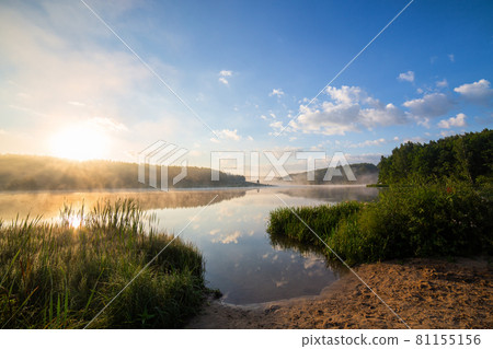 foggy lakeside at sunrise with tall grass and sand in foreground foggy lakeside at sunrise with tall grass and sand in foreground 81155156