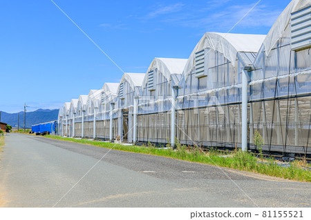 山口縣下關市的夏日天空和乙烯基房屋 81155521