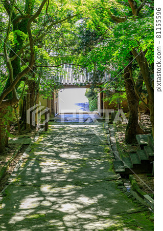Kozanji Temple in Summer, Shimonoseki City, Yamaguchi Prefecture Kozanji Temple in Summer, Shimonoseki City, Yamaguchi Prefecture 81155596