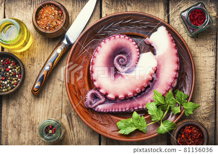 Fresh octopus tentacle 81156036