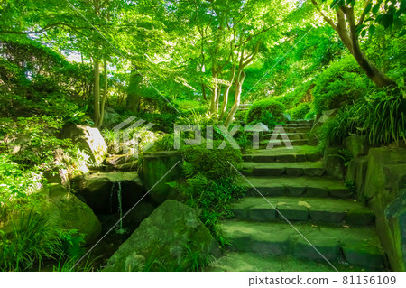Jozanen, beautiful green Japanese garden <Anjo City, Aichi Prefecture> 81156109