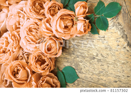 Pink roses on wooden background Pink roses on wooden background 81157302