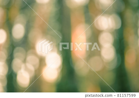 Defocus light forest. Natural blurred background. Silhouettes of trees at sunset. bokeh. Defocus light forest. Natural blurred background. Silhouettes of trees at sunset. bokeh. 81157599