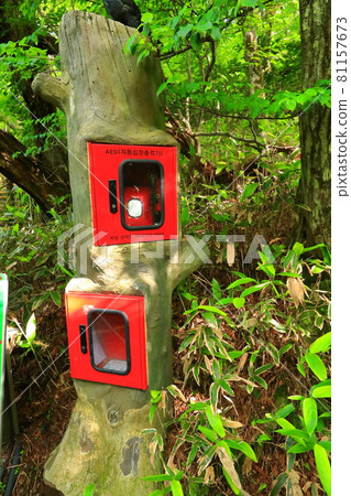 漢拿山、濟州、森林、山地、健行、城板岳路線、自然生態、 81157673