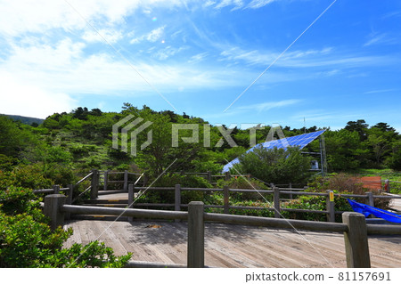 漢拿山、濟州、森林、山地、健行、城板岳路線、自然生態、 81157691