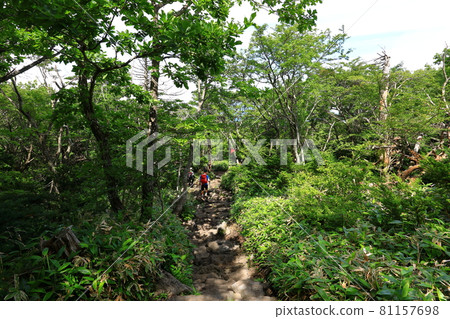 漢拿山、濟州、森林、山地、健行、城板岳路線、自然生態、 81157698