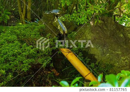 Shishi-odoshi image 81157765