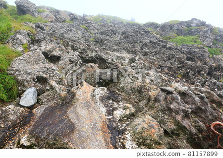 Mt. Halla, forest, hiking, mountain, hiking trail, scenery, Jeju Island, hiker, fir tree, dried up, Mt. Halla, forest, hiking, mountain, hiking trail, scenery, Jeju Island, hiker, fir tree, dried up, 81157899