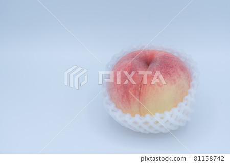 飛騨桃白底桃撻 飛騨桃白底桃撻 81158742