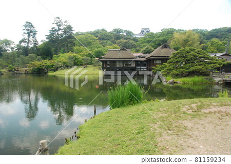 Hikone Castle's "Buddha Paradise" (Kaname Town, Hikone City, Shiga Prefecture) 81159234