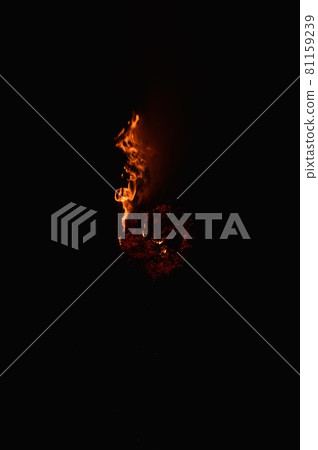 火焰在黑暗中爆炸(奈良縣奈良市東大寺 / 二月堂 Omizutori / Zoshi-cho) 火焰在黑暗中爆炸(奈良縣奈良市東大寺 / 二月堂 Omizutori / Zoshi-cho) 81159239