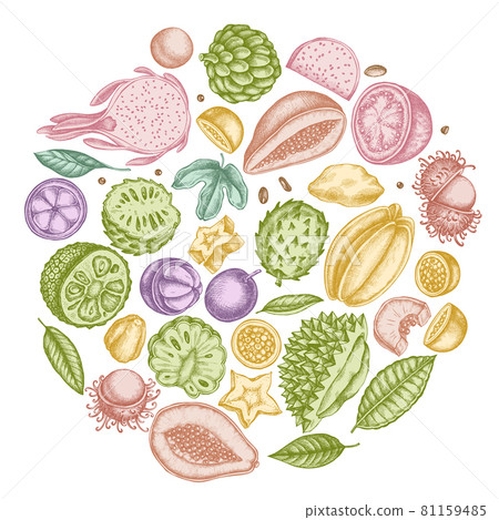 Round design with pastel papaya, guava, passion fruit, starfruit, durian, rambutan, pitaya Round design with pastel papaya, guava, passion fruit, starfruit, durian, rambutan, pitaya 81159485