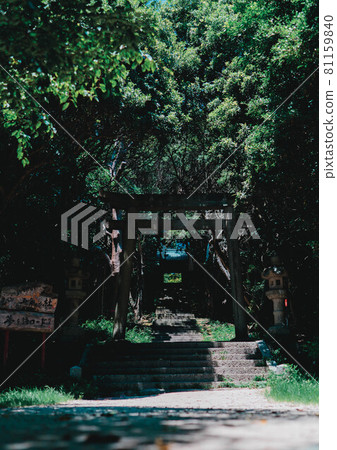 森林 樹林 道 81159840