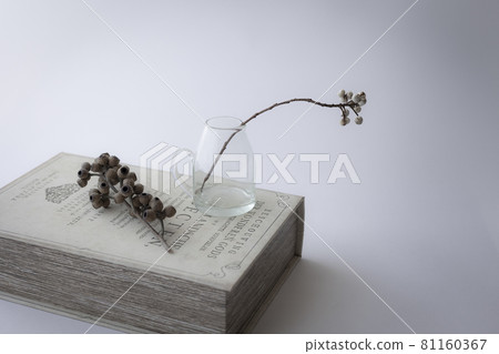 Dried flowers and jugs Dried flowers and jugs 81160367