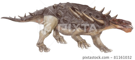 Zhongyuansaurus, the only thyreophora found in the Early Cretaceous strata of China 81161032