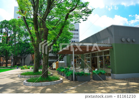 Hisaya Odori Park, Nagoya City Summer Learning Forest Zone Hisaya Odori Park, Nagoya City Summer Learning Forest Zone 81161210