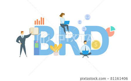 BRD, Business Requirements Document. Concept with keyword, people and icons. Flat vector illustration. Isolated on white. BRD, Business Requirements Document. Concept with keyword, people and icons. Flat vector illustration. Isolated on white. 81161406