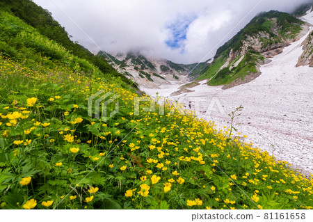 Summer Hakuba Taisetsukei trekking 81161658